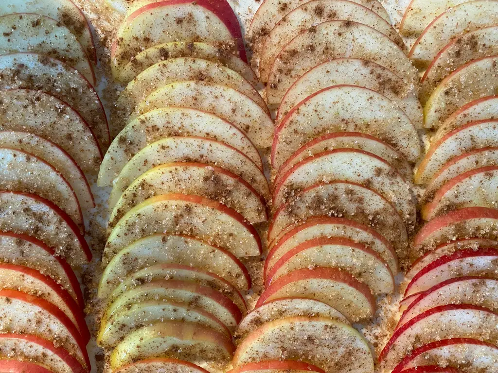 Böğürtlenli Elmalı Tatlı Tarifi