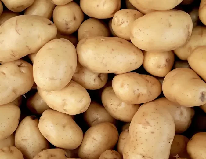 Kaşarlı Patates Püresi