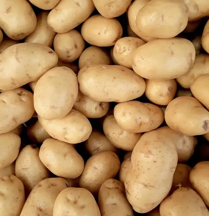 Kaşarlı Patates Püresi