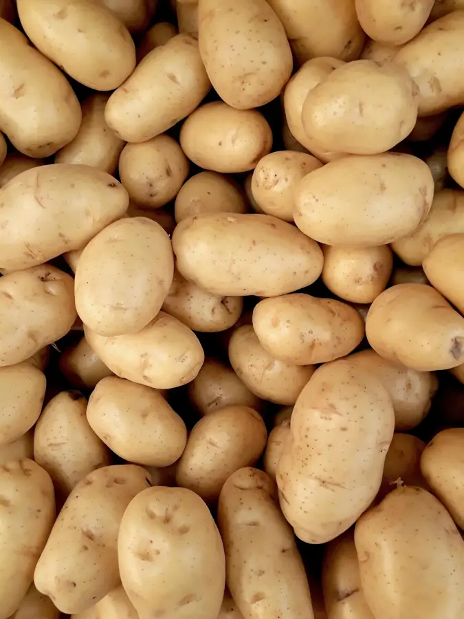 Kaşarlı Patates Püresi