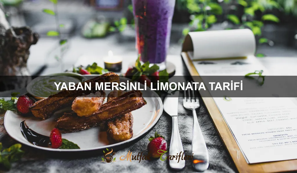 Yaban Mersinli Limonata Tarifi