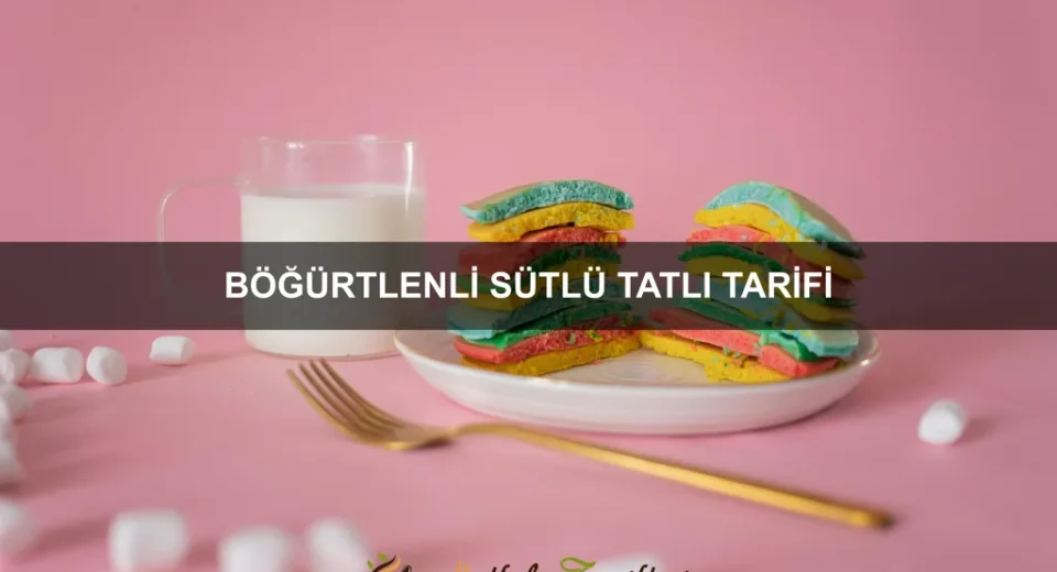 Böğürtlenli Sütlü Tatlı Tarifi