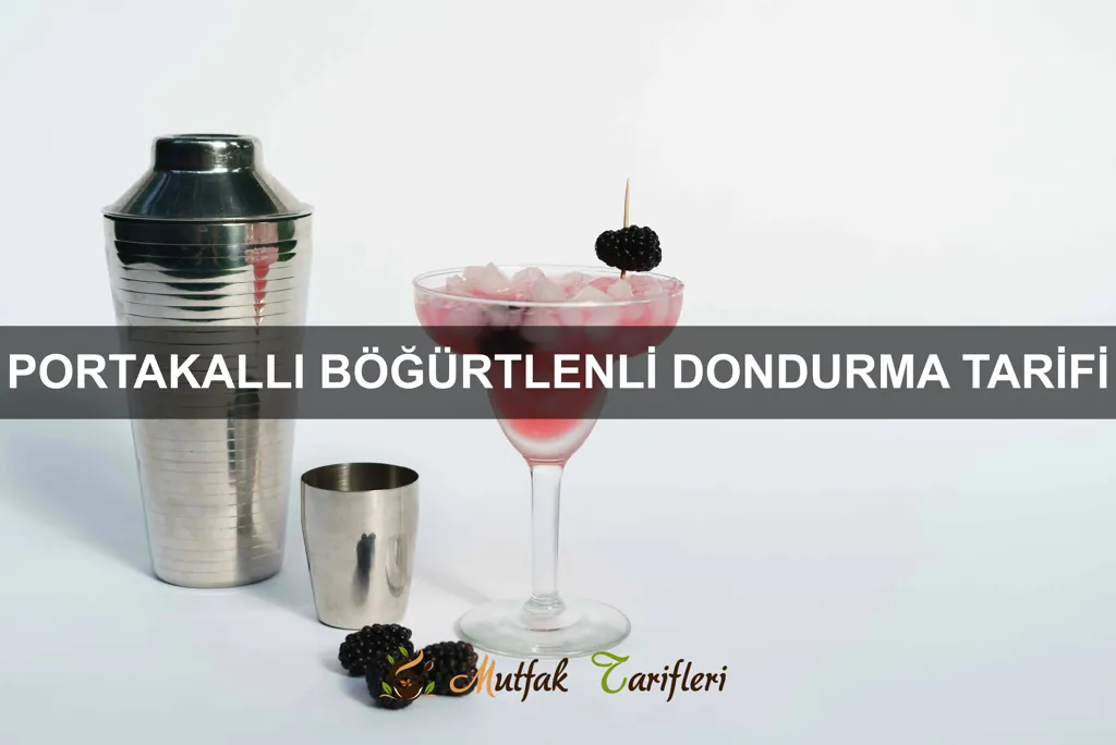 Portakallı Böğürtlenli Dondurma Tarifi