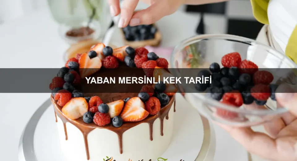 Yaban Mersinli Kek Tarifi
