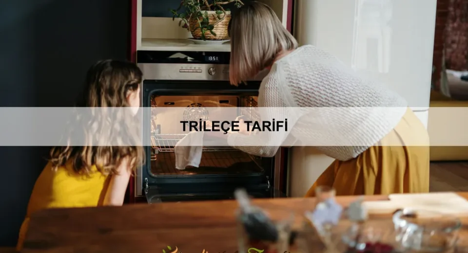 Trileçe Tarifi