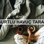 Meyveli Parfe Tarifi