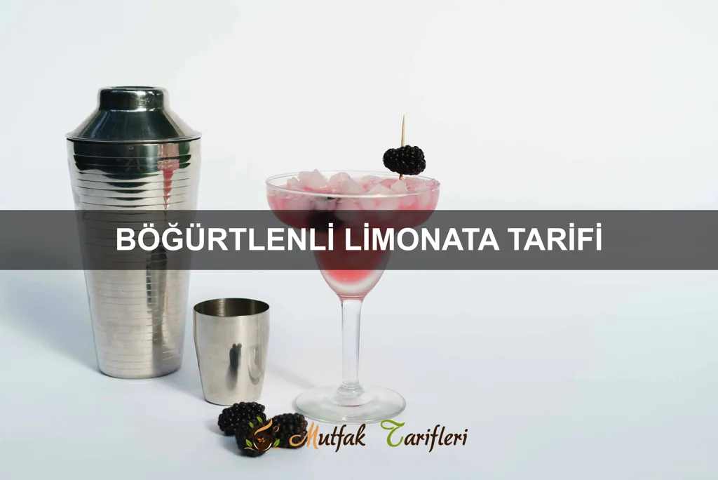 Böğürtlenli Limonata Tarifi